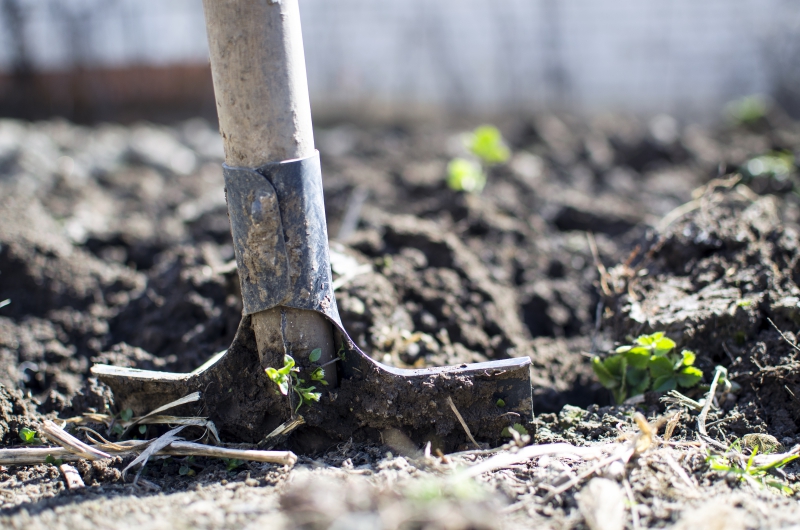 jardinerie-LA CRAU-min_equipment-2047314